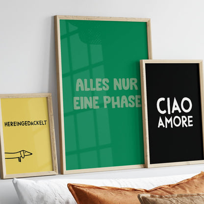 Alles nur eine Phase Poster • lustiges Typografie Poster - vonSUSI Poster
